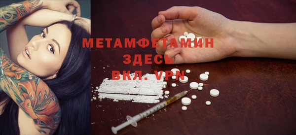 индика Няндома