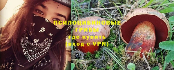 ALPHA PVP Алексеевка