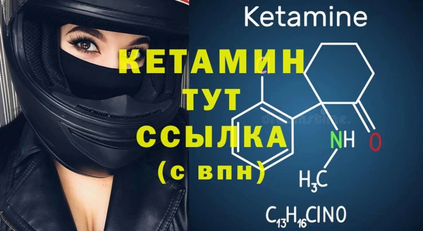 индика Няндома